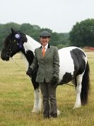 Image 50 in ADVENTURE RIDING CLUB OPEN SHOW 6 JULY 2014