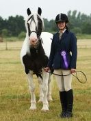 Image 51 in ADVENTURE RIDING CLUB OPEN SHOW 6 JULY 2014