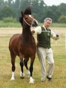 Image 56 in ADVENTURE RIDING CLUB OPEN SHOW 6 JULY 2014