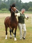 Image 56 in ADVENTURE  RIDING  CLUB  OPEN  SHOW  6  JULY  2014