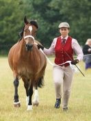 Image 58 in ADVENTURE RIDING CLUB OPEN SHOW 6 JULY 2014