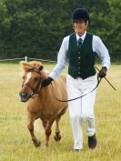 Image 59 in ADVENTURE RIDING CLUB OPEN SHOW 6 JULY 2014