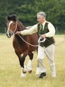 Image 60 in ADVENTURE RIDING CLUB OPEN SHOW 6 JULY 2014