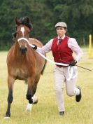 Image 61 in ADVENTURE RIDING CLUB OPEN SHOW 6 JULY 2014