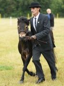 Image 62 in ADVENTURE RIDING CLUB OPEN SHOW 6 JULY 2014