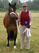 Image 65 in ADVENTURE RIDING CLUB OPEN SHOW 6 JULY 2014