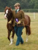 Image 66 in ADVENTURE  RIDING  CLUB  OPEN  SHOW  6  JULY  2014