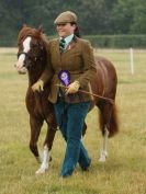 Image 66 in ADVENTURE RIDING CLUB OPEN SHOW 6 JULY 2014