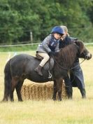 Image 68 in ADVENTURE RIDING CLUB OPEN SHOW 6 JULY 2014
