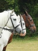 Image 75 in ADVENTURE RIDING CLUB OPEN SHOW 6 JULY 2014