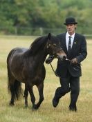 Image 78 in ADVENTURE RIDING CLUB OPEN SHOW 6 JULY 2014