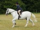 Image 79 in ADVENTURE RIDING CLUB OPEN SHOW 6 JULY 2014
