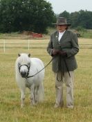 Image 81 in ADVENTURE RIDING CLUB OPEN SHOW 6 JULY 2014
