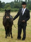 Image 82 in ADVENTURE RIDING CLUB OPEN SHOW 6 JULY 2014
