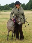 Image 83 in ADVENTURE RIDING CLUB OPEN SHOW 6 JULY 2014