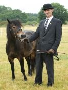 Image 84 in ADVENTURE RIDING CLUB OPEN SHOW 6 JULY 2014
