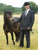 Image 84 in ADVENTURE  RIDING  CLUB  OPEN  SHOW  6  JULY  2014