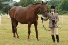 Image 87 in ADVENTURE RIDING CLUB OPEN SHOW 6 JULY 2014