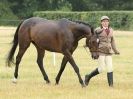 Image 91 in ADVENTURE RIDING CLUB OPEN SHOW 6 JULY 2014