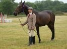 Image 95 in ADVENTURE RIDING CLUB OPEN SHOW 6 JULY 2014