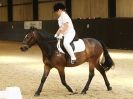 HALESWORTH AND DISTRICT RC DRESSAGE AT BROADS  EC