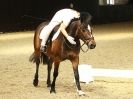 Image 3 in HALESWORTH AND DISTRICT RC DRESSAGE AT BROADS EC