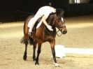 Image 4 in HALESWORTH AND DISTRICT RC DRESSAGE AT BROADS  EC