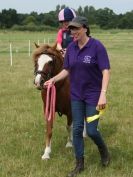 Image 124 in ADVENTURE  RIDING  CLUB  20 JULY 2014