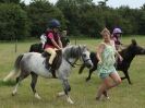Image 138 in ADVENTURE  RIDING  CLUB  20 JULY 2014