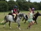 Image 138 in ADVENTURE  RIDING  CLUB  20 JULY 2014