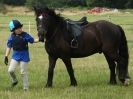 Image 145 in ADVENTURE  RIDING  CLUB  20 JULY 2014