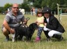 Image 46 in ADVENTURE RIDING CLUB 20 JULY 2014