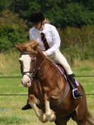 Image 52 in ADVENTURE RIDING CLUB 20 JULY 2014