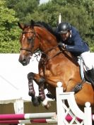 Image 10 in SHOW JUMPING AT ROYAL NORFOLK SHOW 2014