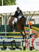 Image 12 in SHOW JUMPING AT ROYAL NORFOLK SHOW 2014