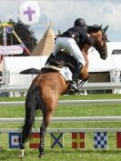 Image 13 in SHOW JUMPING AT ROYAL NORFOLK SHOW 2014