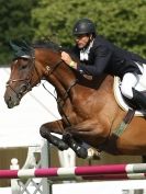 Image 14 in SHOW JUMPING AT ROYAL NORFOLK SHOW 2014