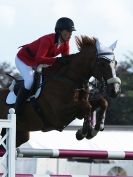 Image 16 in SHOW JUMPING AT ROYAL NORFOLK SHOW 2014