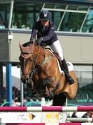 Image 18 in SHOW JUMPING AT ROYAL NORFOLK SHOW 2014