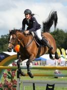 Image 2 in SHOW JUMPING AT ROYAL NORFOLK SHOW 2014