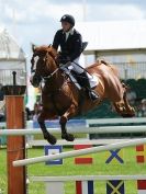 Image 22 in SHOW JUMPING AT ROYAL NORFOLK SHOW 2014