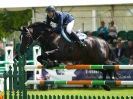 Image 23 in SHOW JUMPING AT ROYAL NORFOLK SHOW 2014