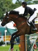 Image 26 in SHOW JUMPING AT ROYAL NORFOLK SHOW 2014