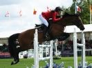 Image 27 in SHOW JUMPING AT ROYAL NORFOLK SHOW 2014