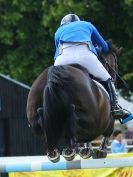 Image 30 in SHOW JUMPING AT ROYAL NORFOLK SHOW 2014