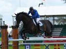 Image 31 in SHOW JUMPING AT ROYAL NORFOLK SHOW 2014