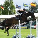 Image 34 in SHOW JUMPING AT ROYAL NORFOLK SHOW 2014