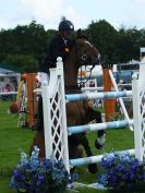 Image 35 in SHOW JUMPING AT ROYAL NORFOLK SHOW 2014