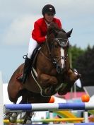 Image 37 in SHOW JUMPING AT ROYAL NORFOLK SHOW 2014