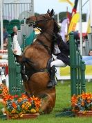 Image 41 in SHOW JUMPING AT ROYAL NORFOLK SHOW 2014